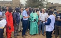 Image / illustration