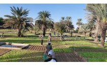 Image / illustration