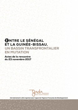 Image / illustration