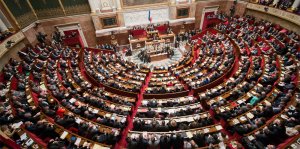 Image / illustration