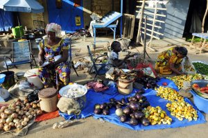 Image / illustration