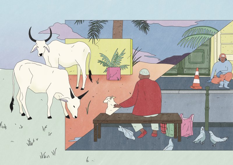 Image / illustration