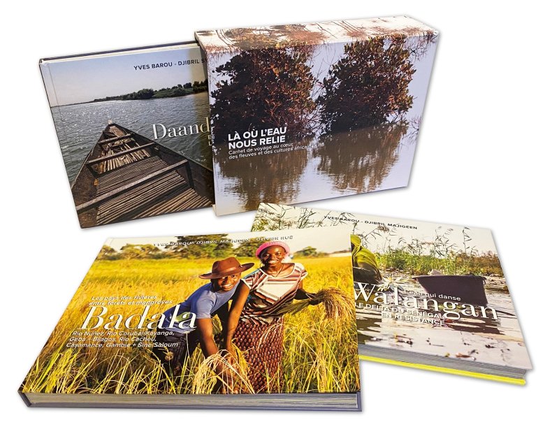 Image / illustration